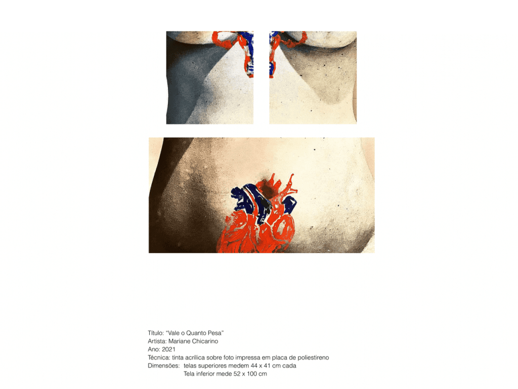 Obra de MARIANE PEREIRA COSTA DE ARAUJO CHICARINO