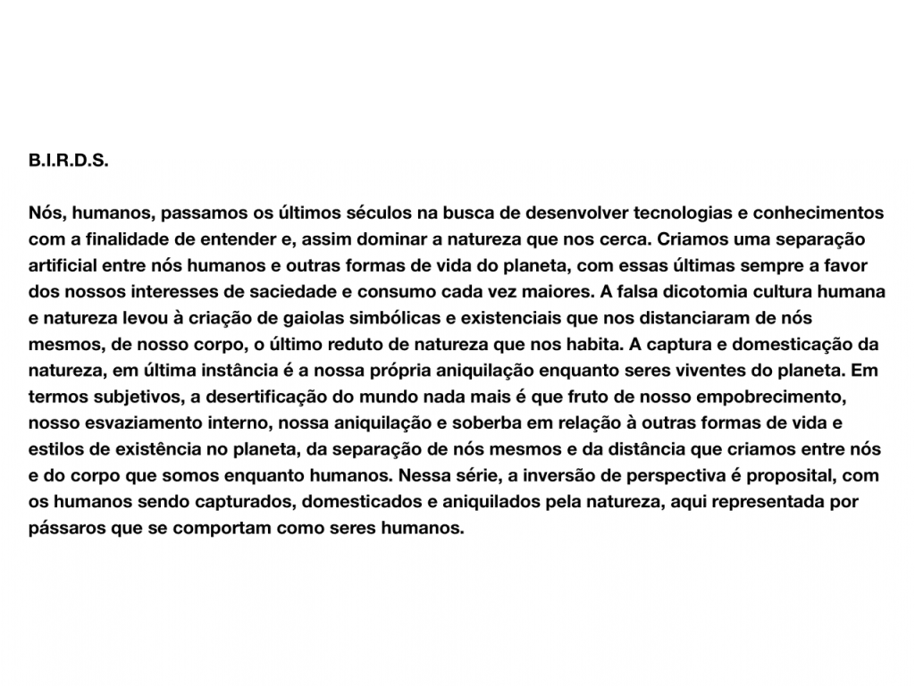 Obra de Andre Marcelo Dedomênico