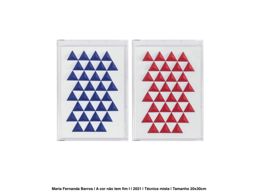 Obra de MARIA FERNANDA JUNQUEIRA OLIVEIRA DE BARROS