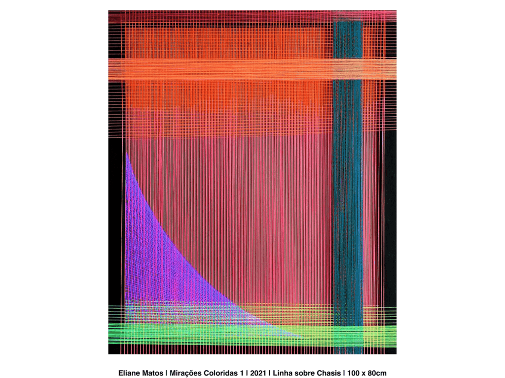 Obra de ELIANE DINORAH MATOS CHEDE