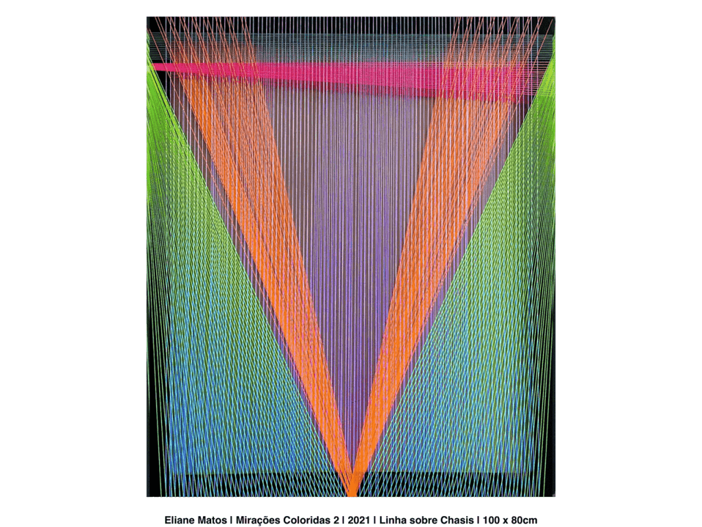 Obra de ELIANE DINORAH MATOS CHEDE