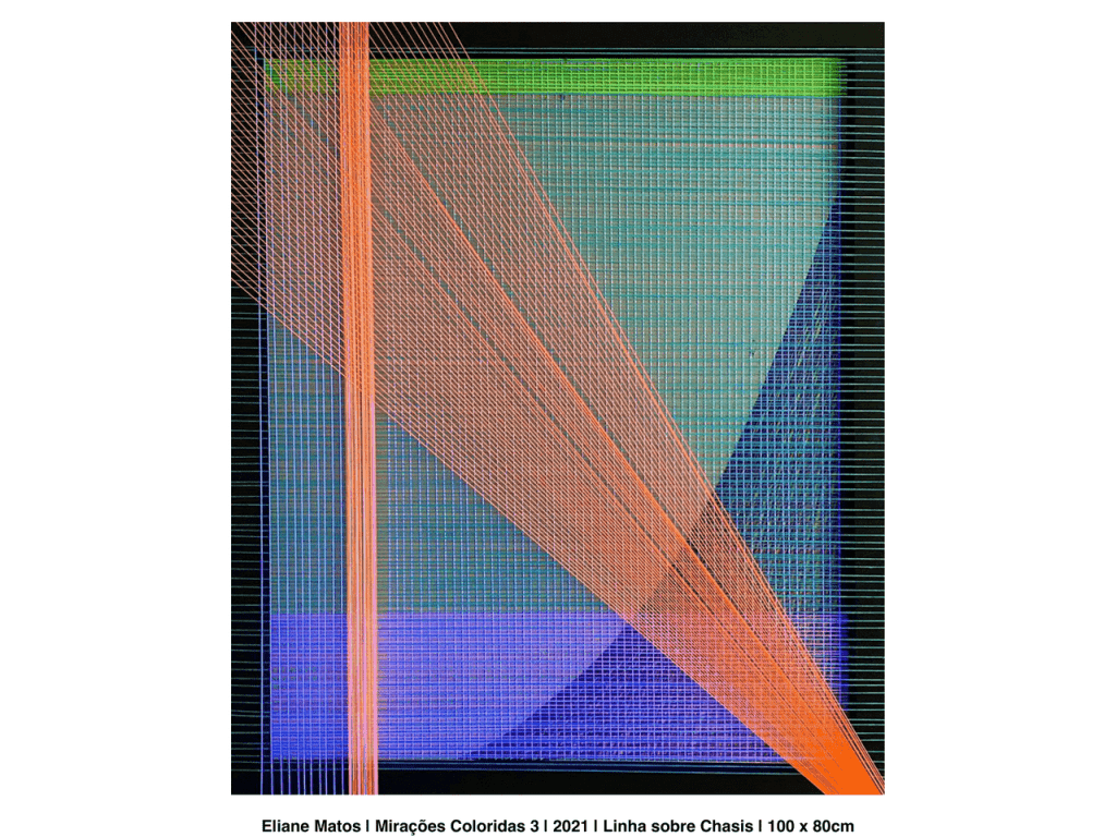 Obra de ELIANE DINORAH MATOS CHEDE