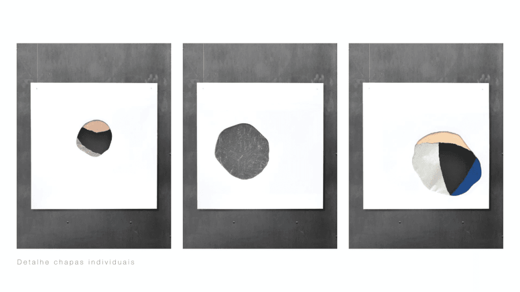 Obra de LUCIANA MESSIAS SHINODA