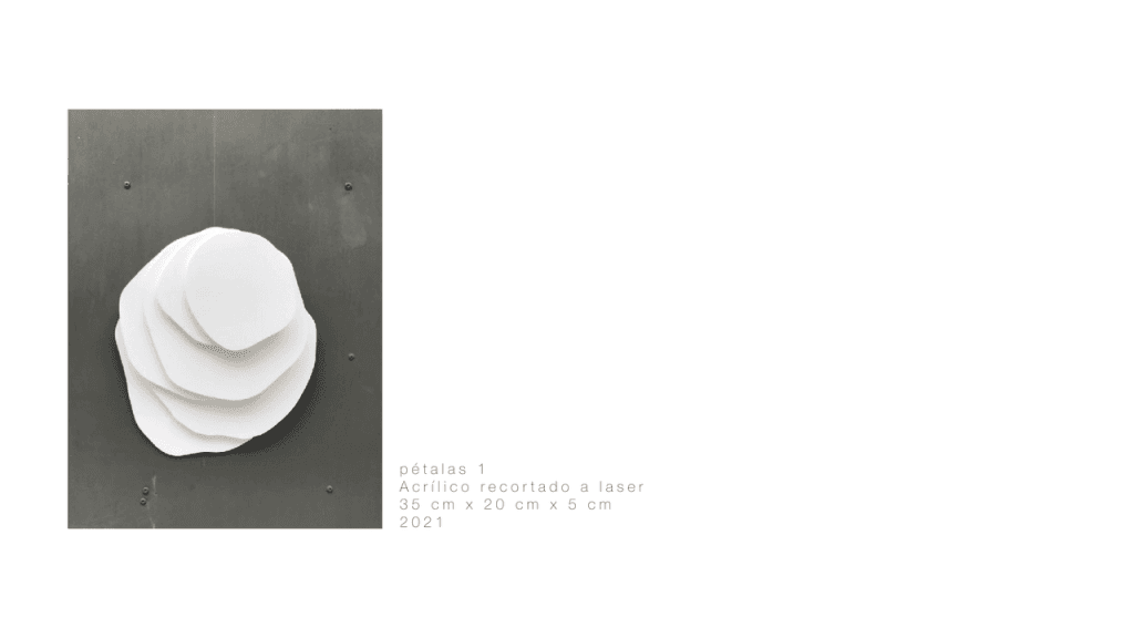 Obra de LUCIANA MESSIAS SHINODA