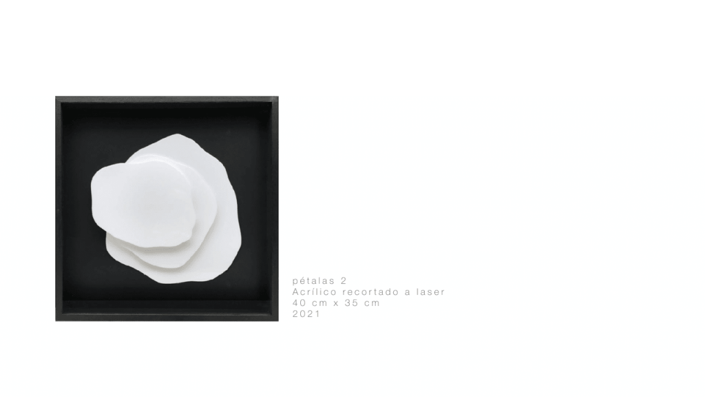 Obra de LUCIANA MESSIAS SHINODA