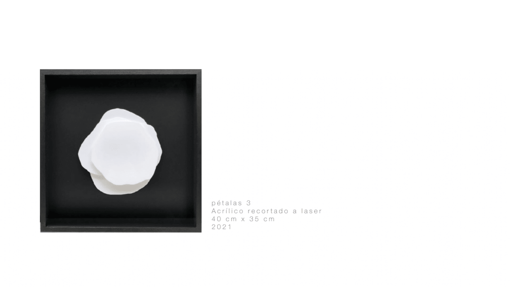 Obra de LUCIANA MESSIAS SHINODA