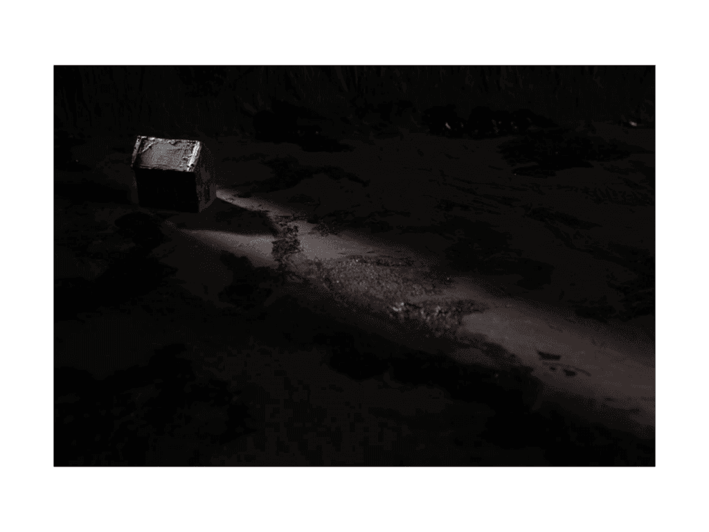 Obra de PAULA DODSWORTH ALBANO CONSENZA