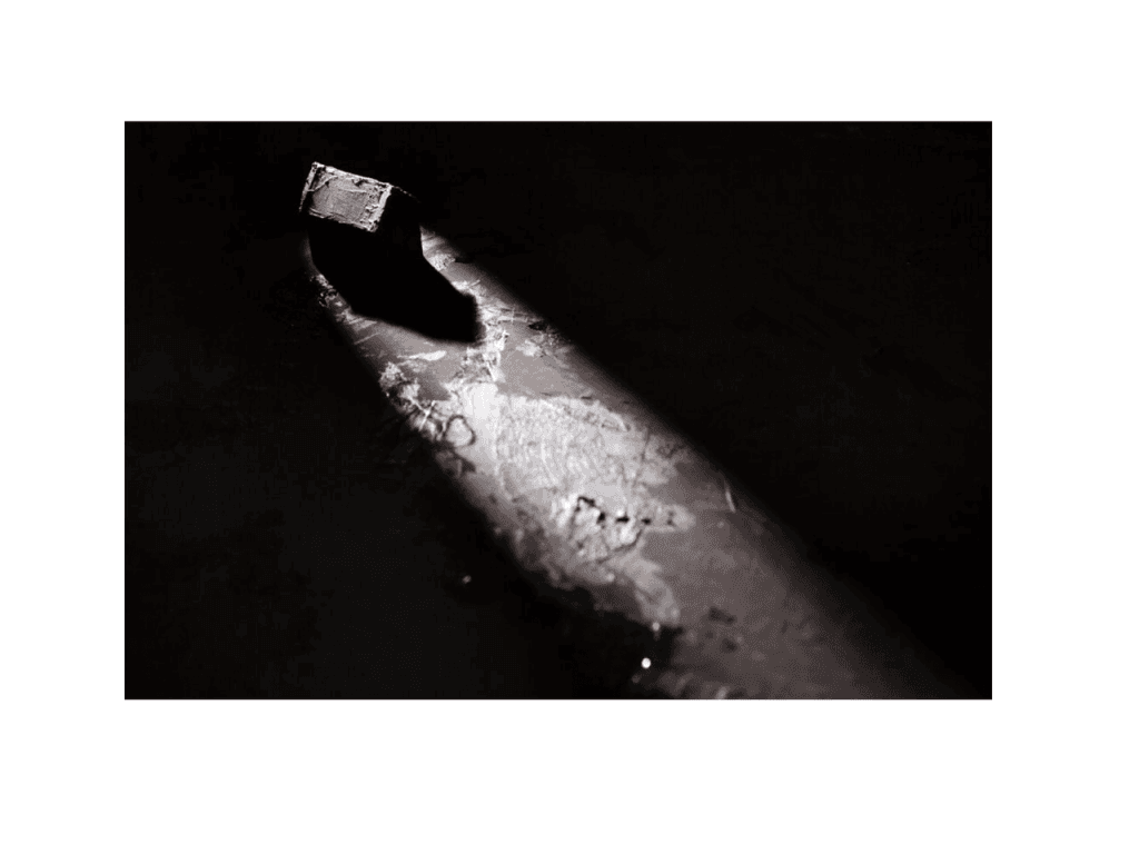 Obra de PAULA DODSWORTH ALBANO CONSENZA