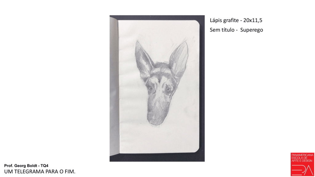 Obra de BRUNO FRANÇA FERREIRA