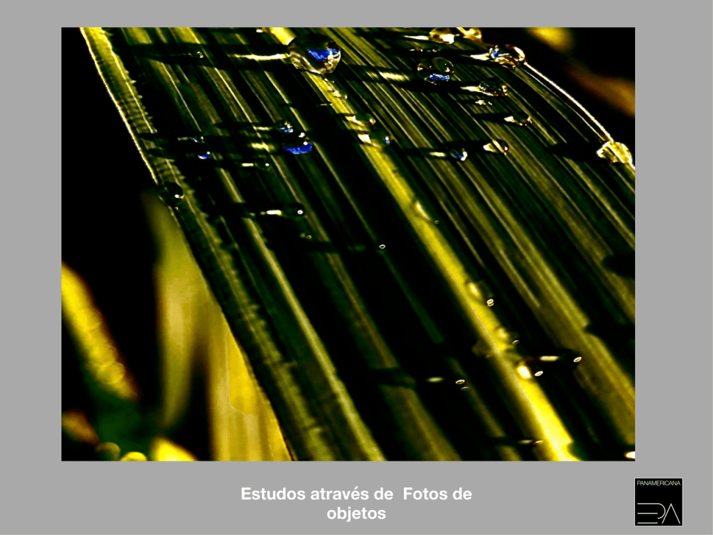 Obra de NEUSA MARIA RODRIGUES DORNA