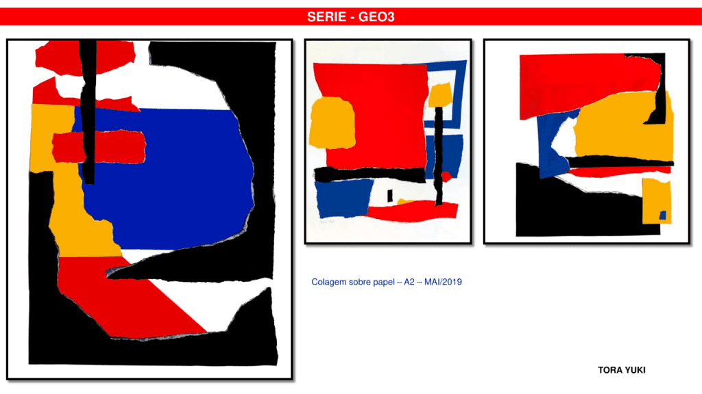 Obra de SILVIA AMARAL MOTEKI