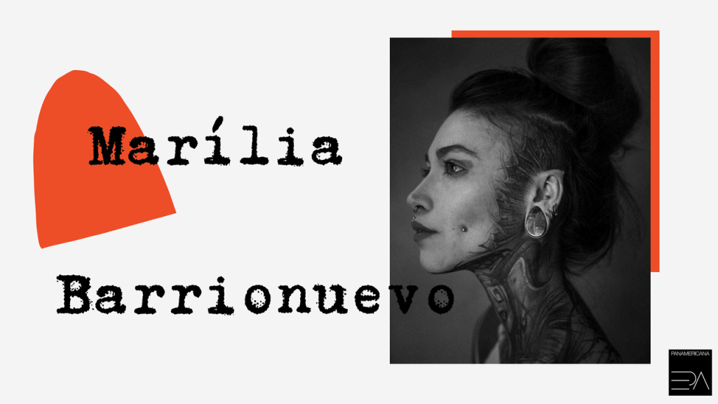 Obra de Marilia Beatriz Barrionuevo Busato Feitosa
