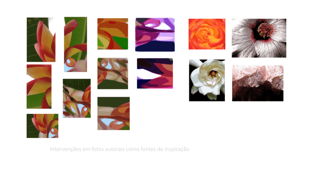 Obra de DEBORA MANEIRA KNITTEL