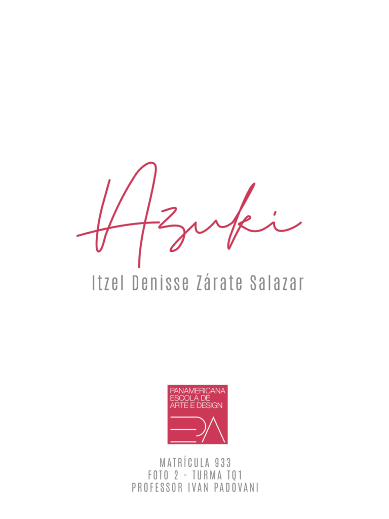 Obra de Itzel Denisse Zarate Salazar