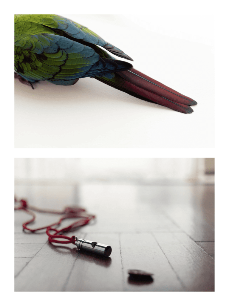 Obra de Itzel Denisse Zarate Salazar