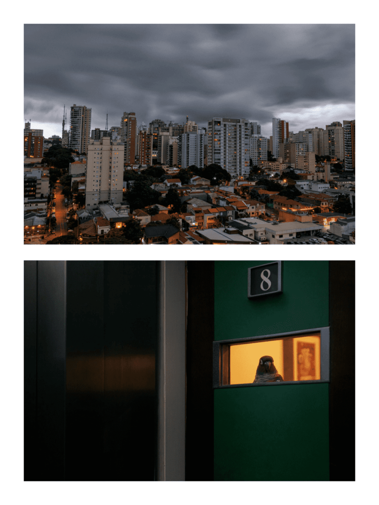 Obra de Itzel Denisse Zarate Salazar