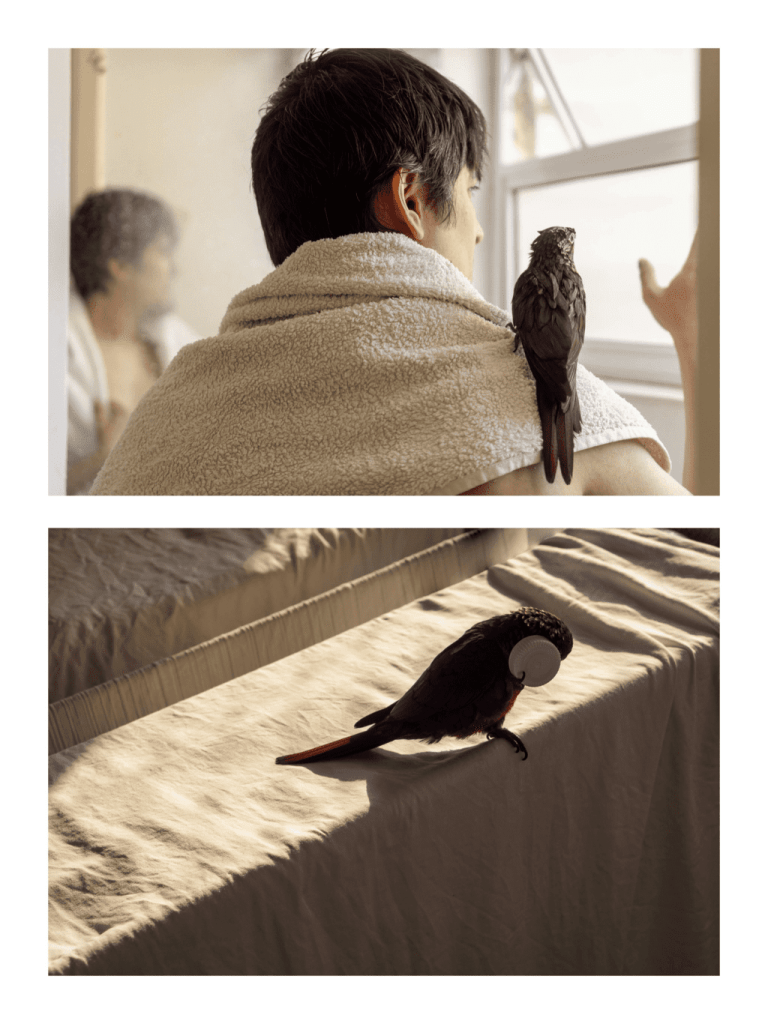 Obra de Itzel Denisse Zarate Salazar