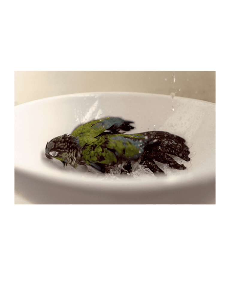 Obra de Itzel Denisse Zarate Salazar