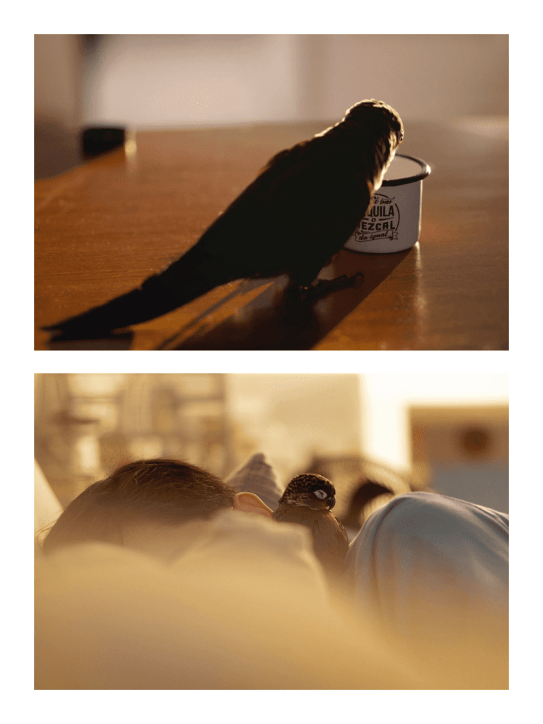 Obra de Itzel Denisse Zarate Salazar