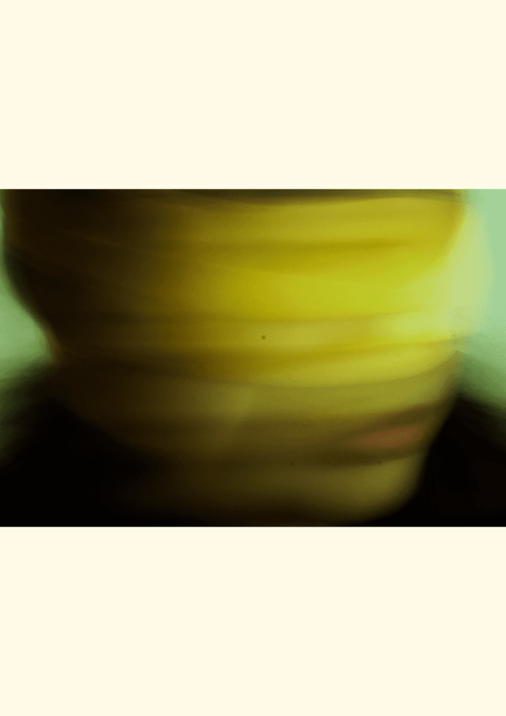 Obra de Julia Alves Moreira