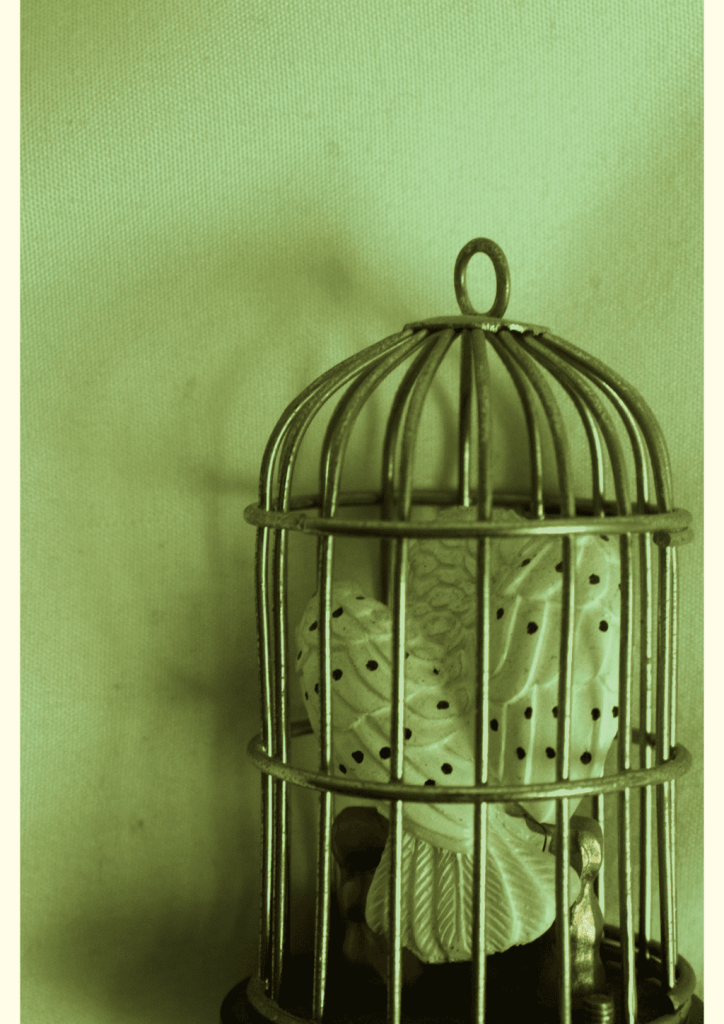 Obra de Julia Alves Moreira