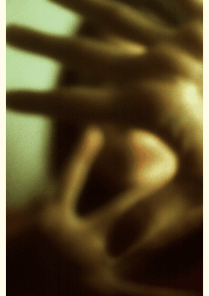 Obra de Julia Alves Moreira