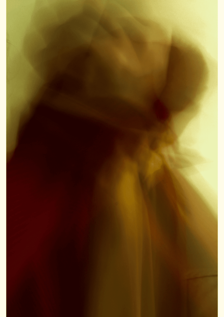 Obra de Julia Alves Moreira