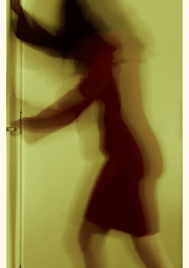 Obra de Julia Alves Moreira