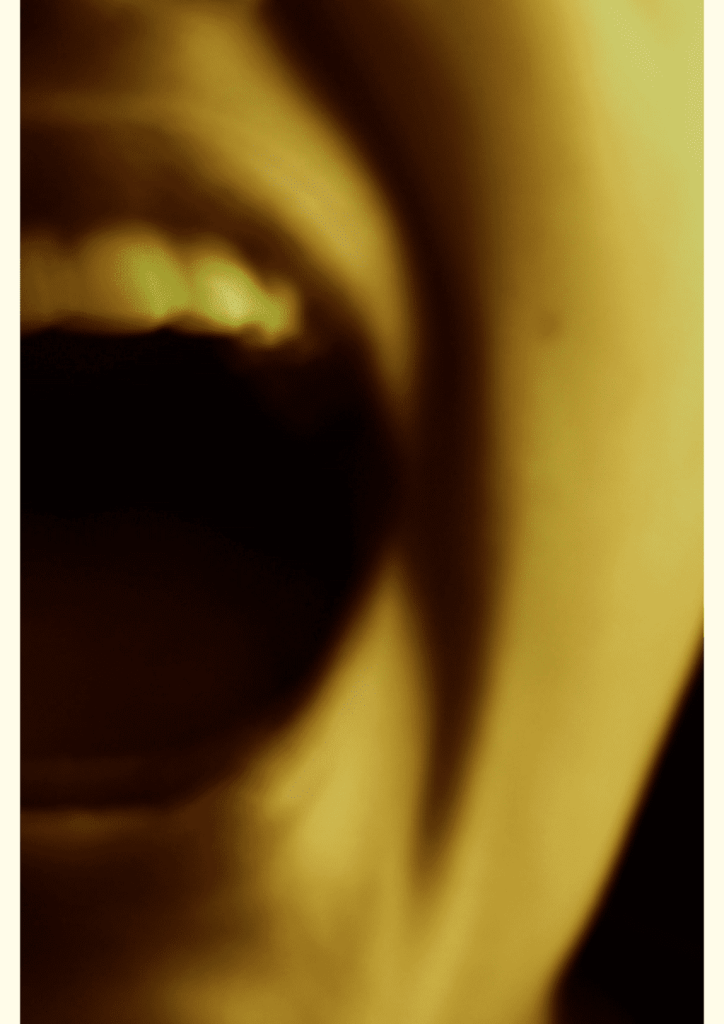 Obra de Julia Alves Moreira