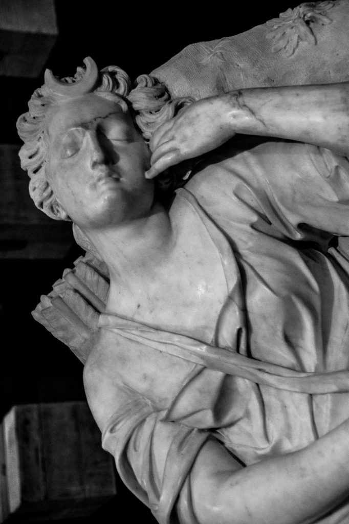 Obra de Alexandre Salles Soares de Camargo