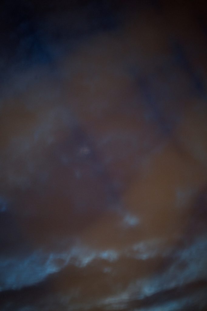 Obra de Alice Vasconcelos Dantas da Silva