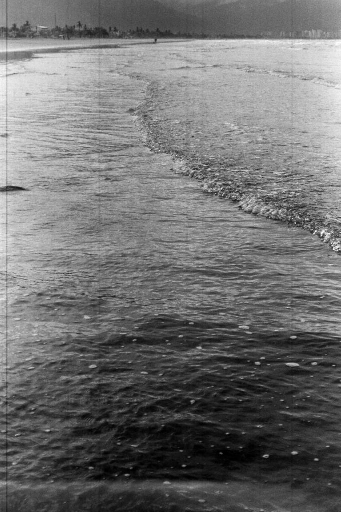 Obra de Alice Vasconcelos Dantas da Silva