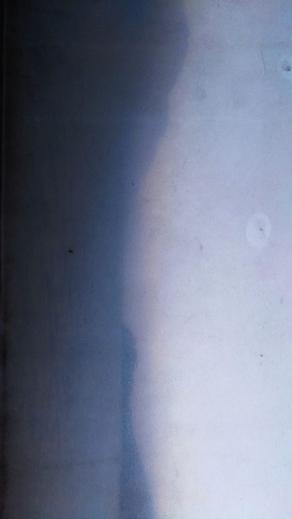 Obra de Alice Vasconcelos Dantas da Silva