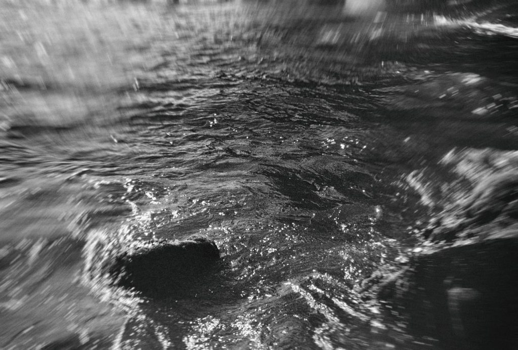 Obra de Alice Vasconcelos Dantas da Silva