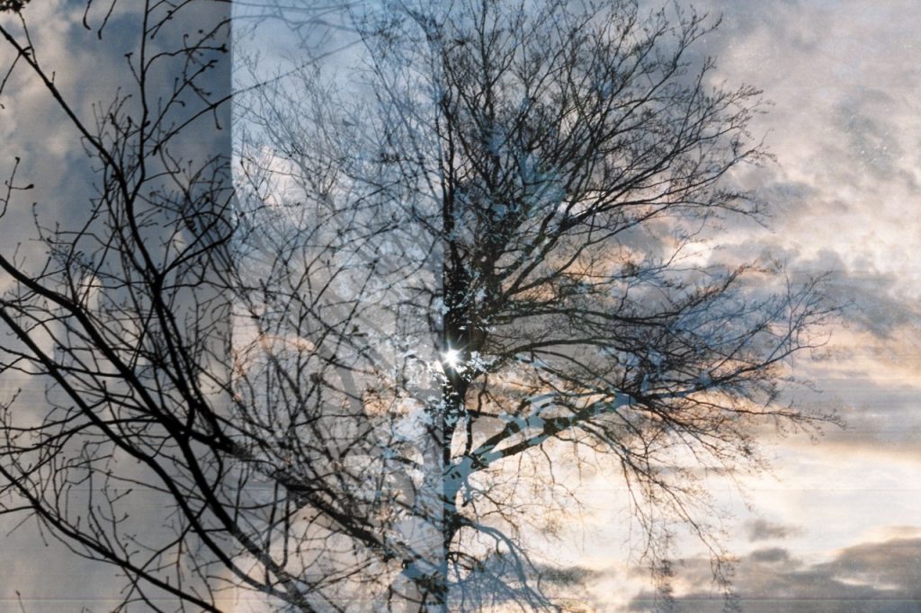 Obra de Alice Vasconcelos Dantas da Silva