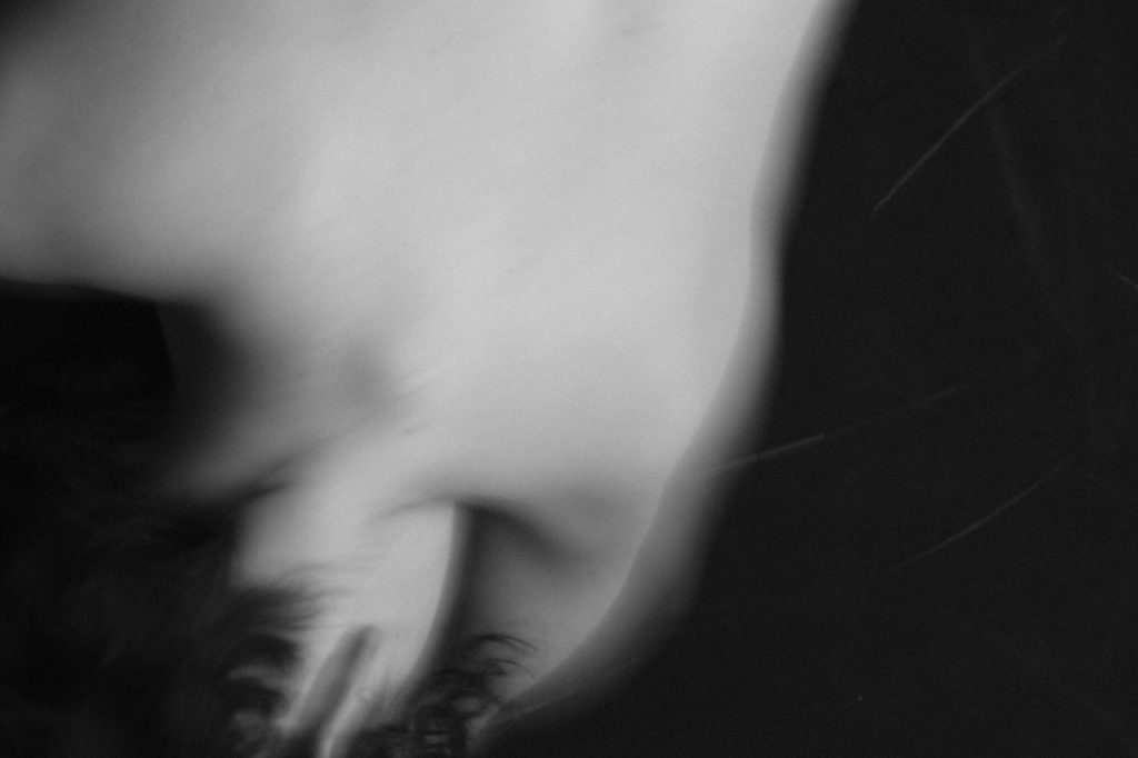 Obra de Alice Vasconcelos Dantas da Silva