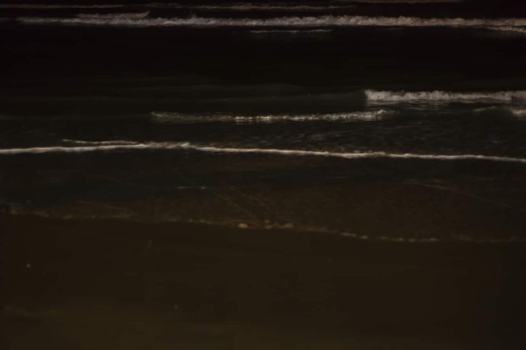 Obra de Alice Vasconcelos Dantas da Silva