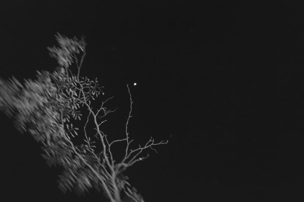 Obra de Alice Vasconcelos Dantas da Silva