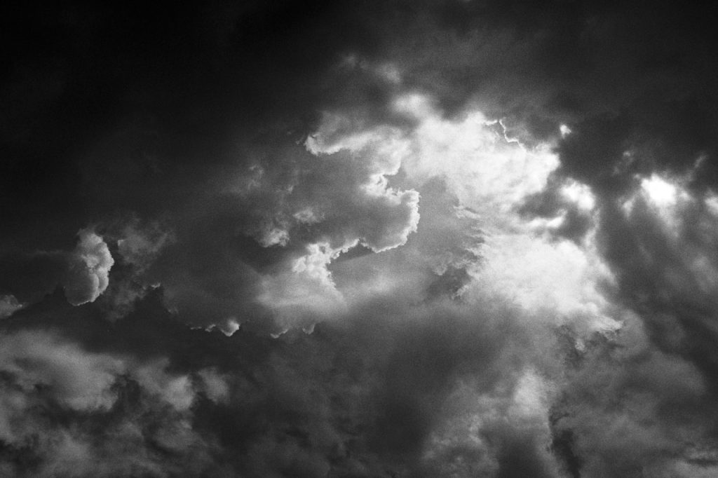 Obra de Alice Vasconcelos Dantas da Silva