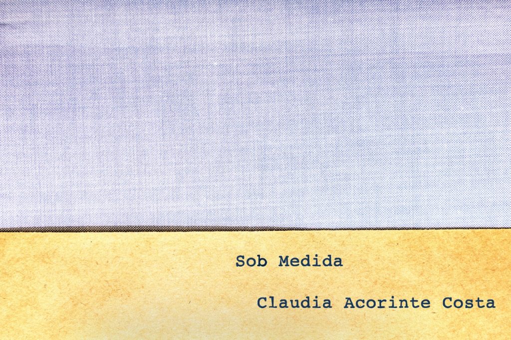 Obra de Claudia Acorinte da Costa