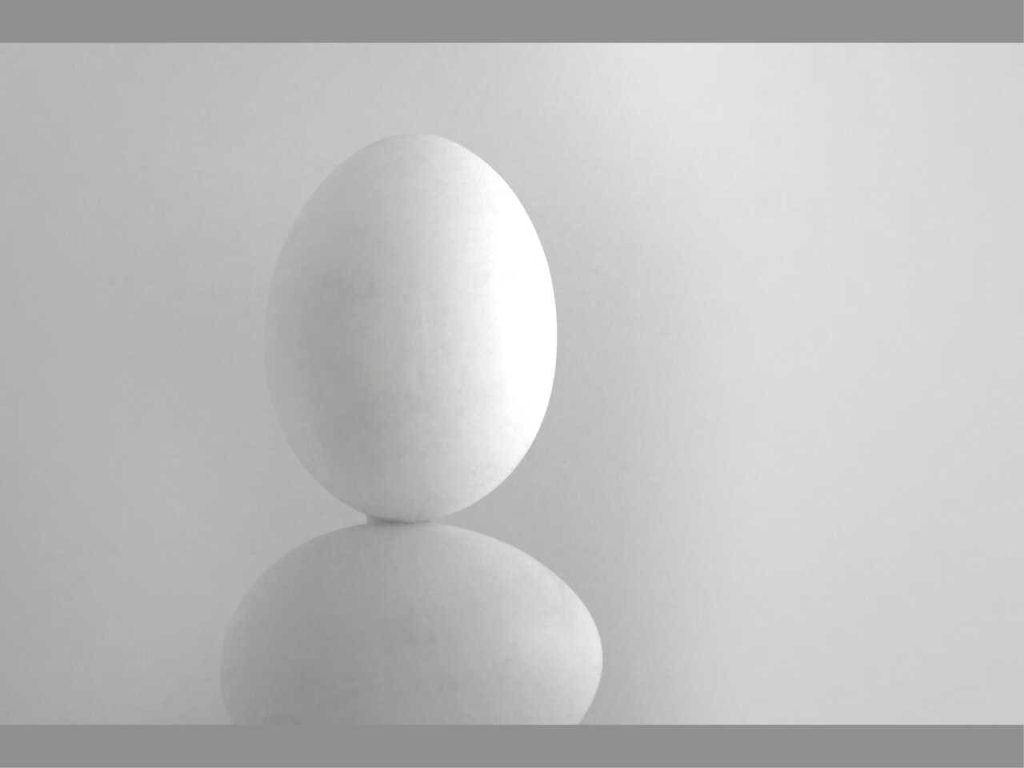 Obra de Daniel Nobrega de Sá