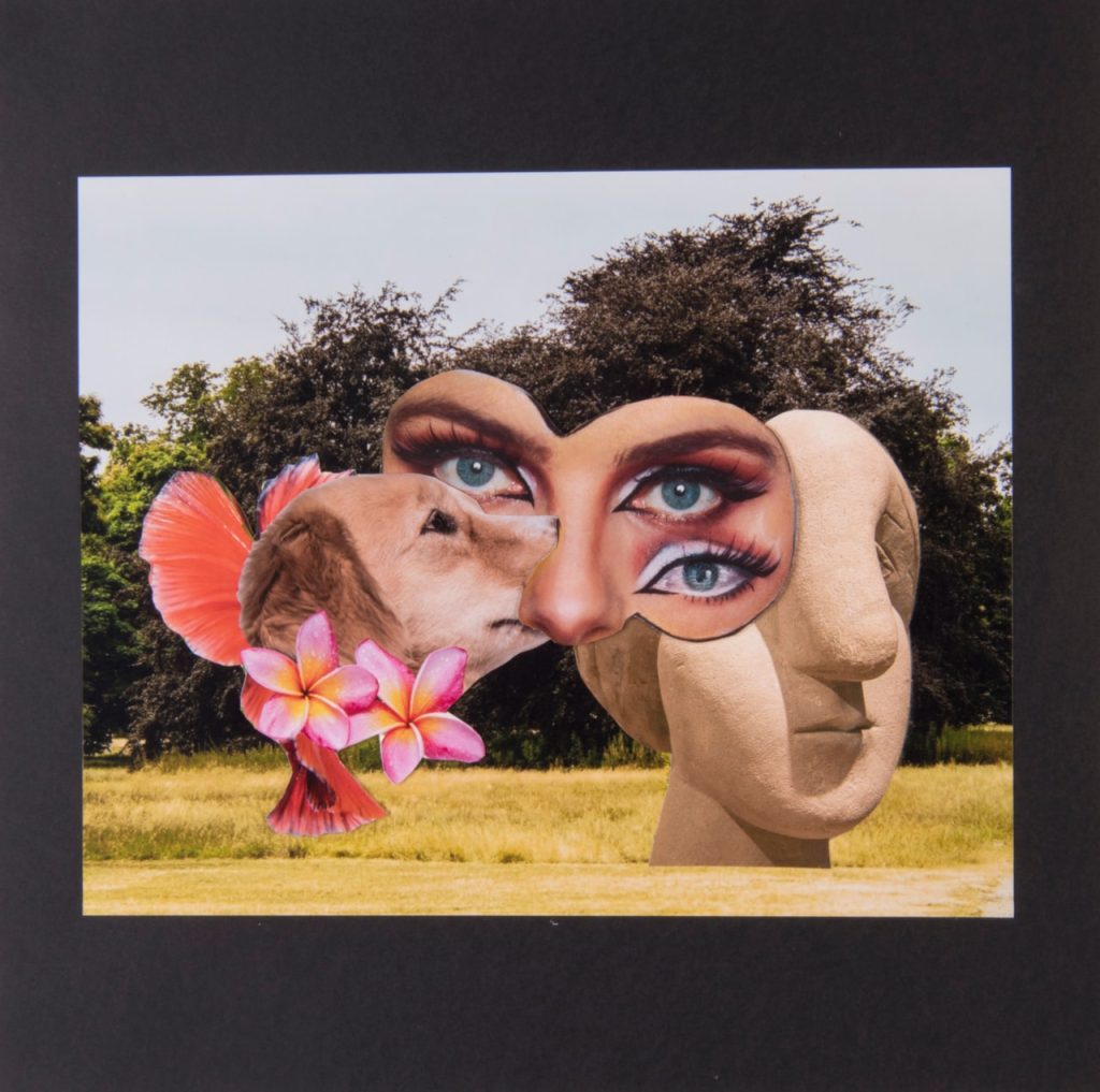 Obra de Diana Galiza de Azevedo Paiva