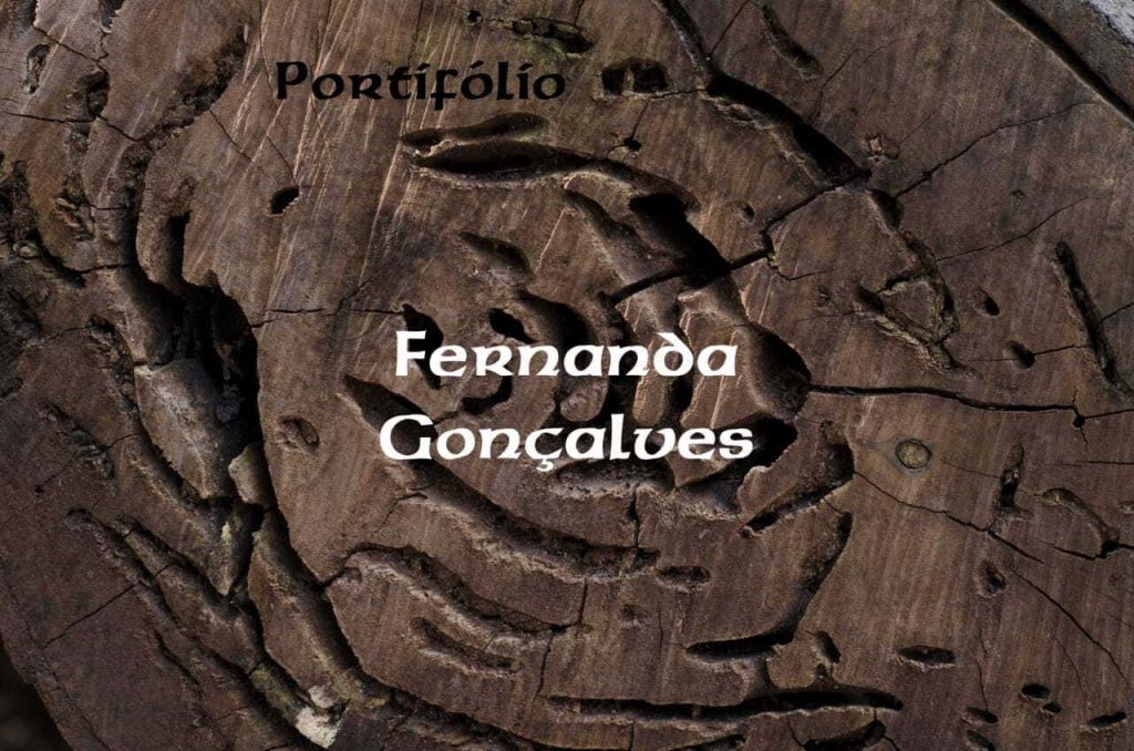 Obra de Fernanda Gonçalves Marques