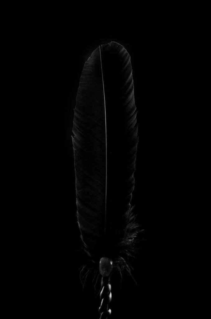 Obra de Fernanda Gonçalves Marques