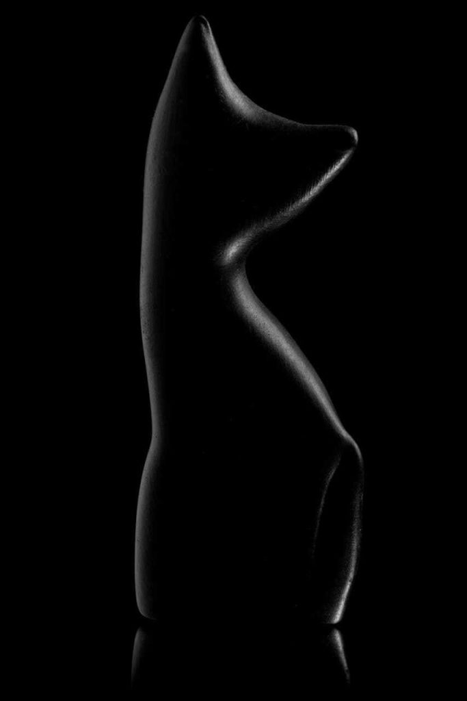 Obra de Fernanda Gonçalves Marques