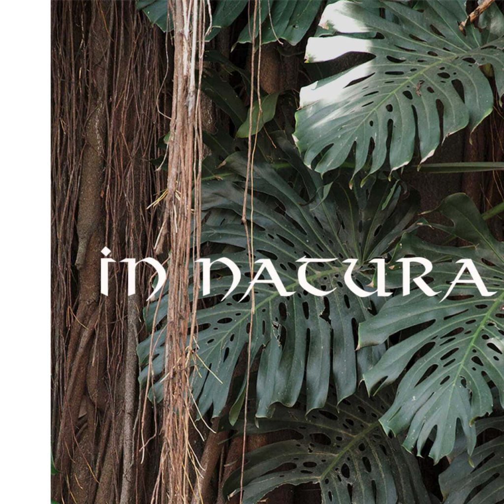 Obra de Fernanda Gonçalves Marques