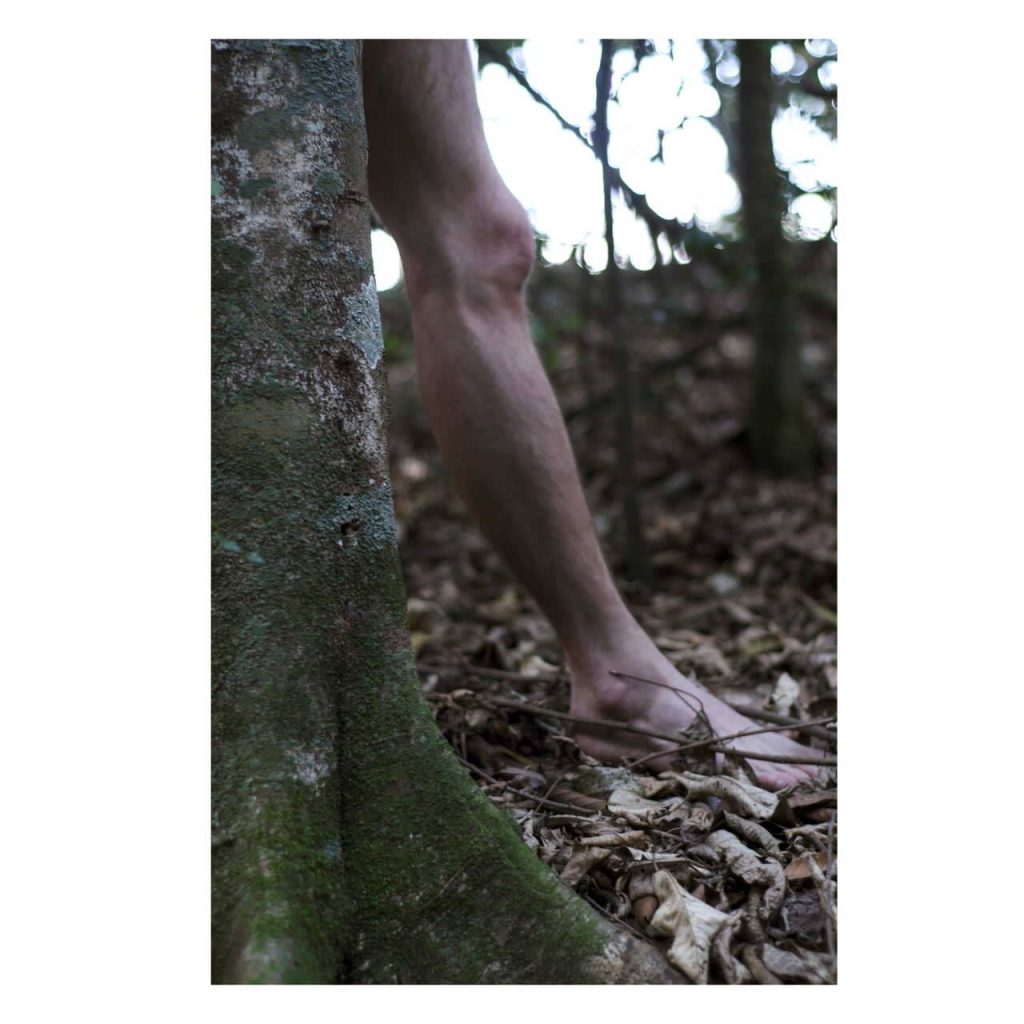 Obra de Fernanda Gonçalves Marques