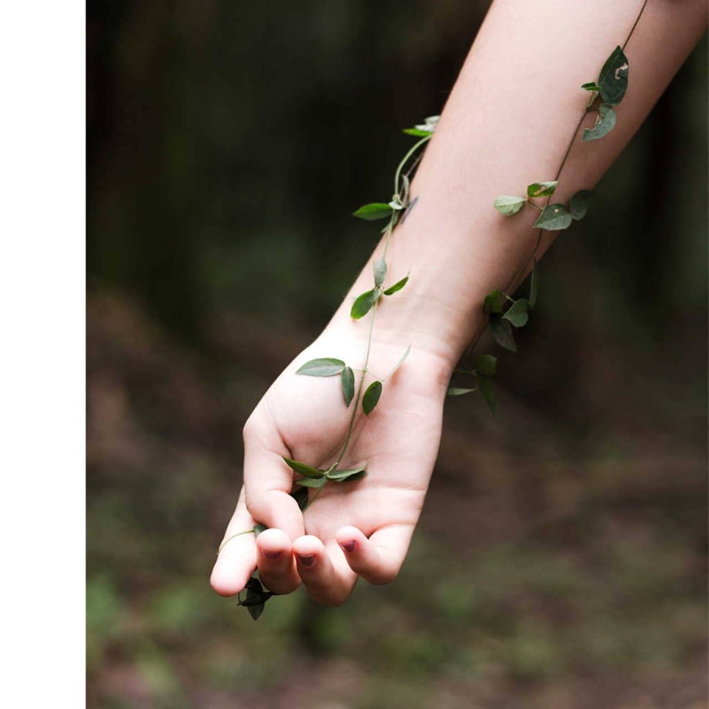 Obra de Fernanda Gonçalves Marques