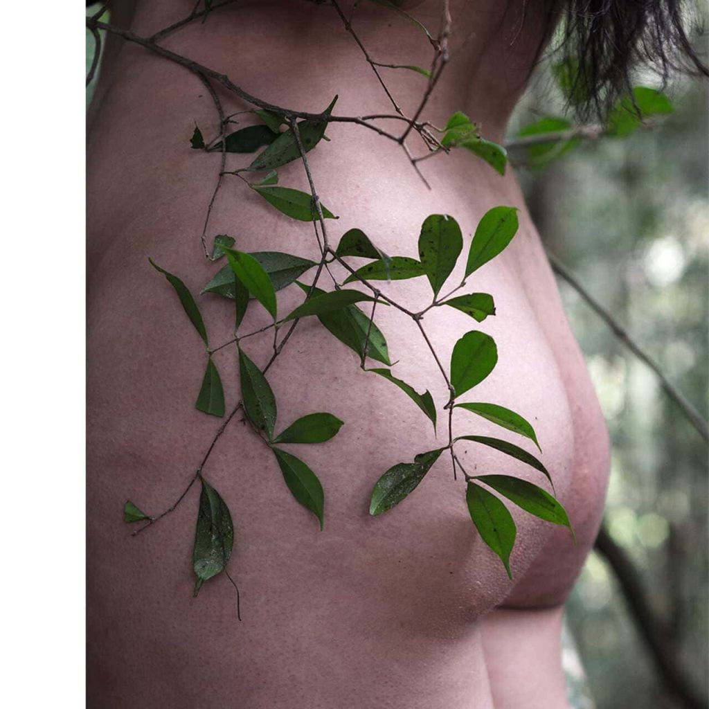 Obra de Fernanda Gonçalves Marques