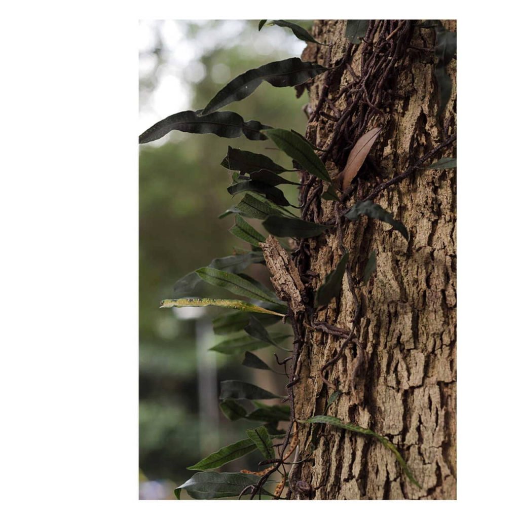 Obra de Fernanda Gonçalves Marques